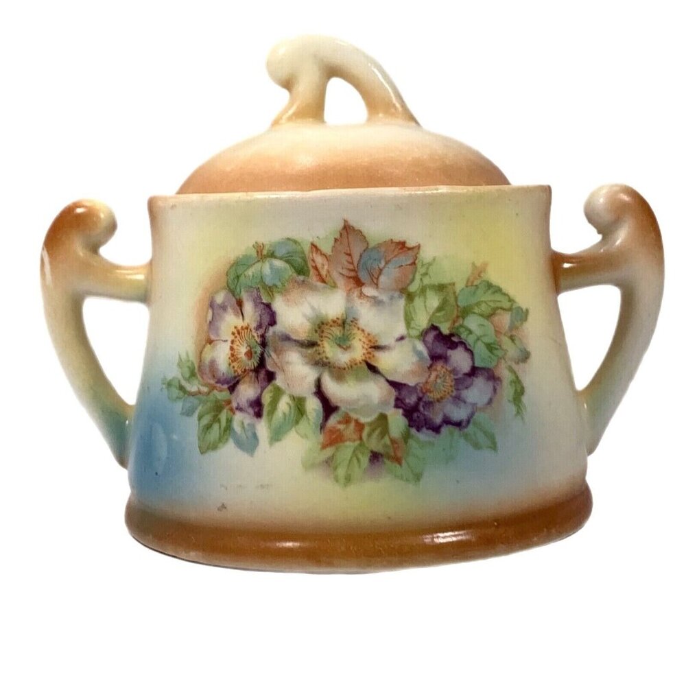 Vtg Czechoslovakia Porcelain Sugar Bowl Lid Hand Painted Floral Double Handles